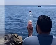 ИИ, фейк, изображения, Газа, помощь