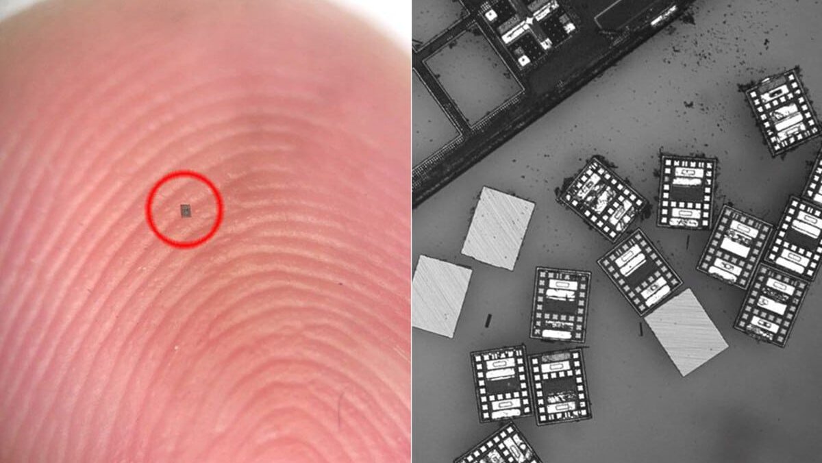 учёные, робот, микроробот, технологии, инженерия