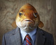 ryba-v-sine-krasnomдезинформация, природа, коммуникация, исследование, животные-galstuke-na-tematiceskom-fone-v-stile-modnoi-fotografii