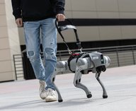 робот, поводырь, навигация, технологии, инвалидность