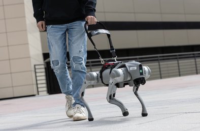 робот, поводырь, навигация, технологии, инвалидность