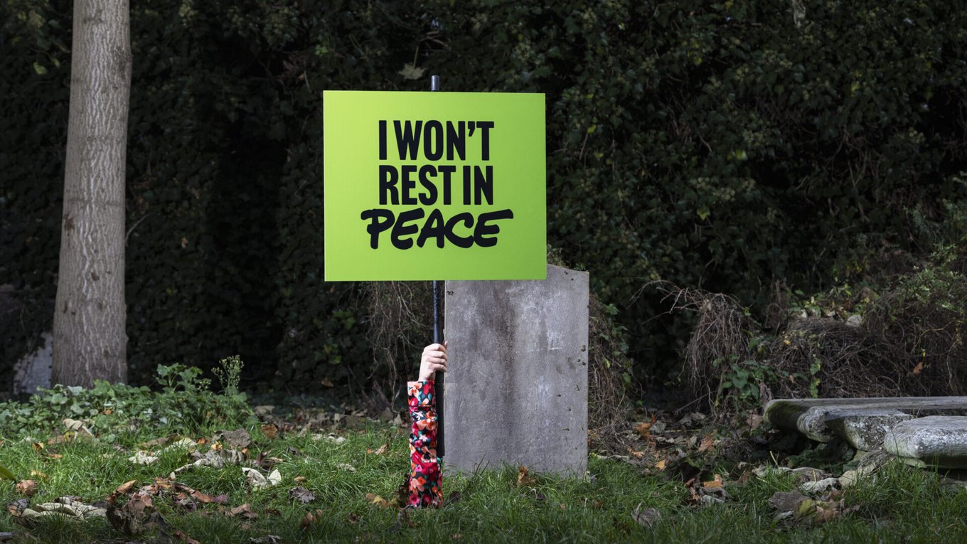 Гринпис, пожертвования, завещание, экология, кампания