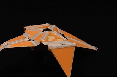 робот, робототехника, технологии, разработка, инженерия