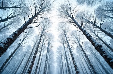 деревья, мороз, трещины, наука, природа