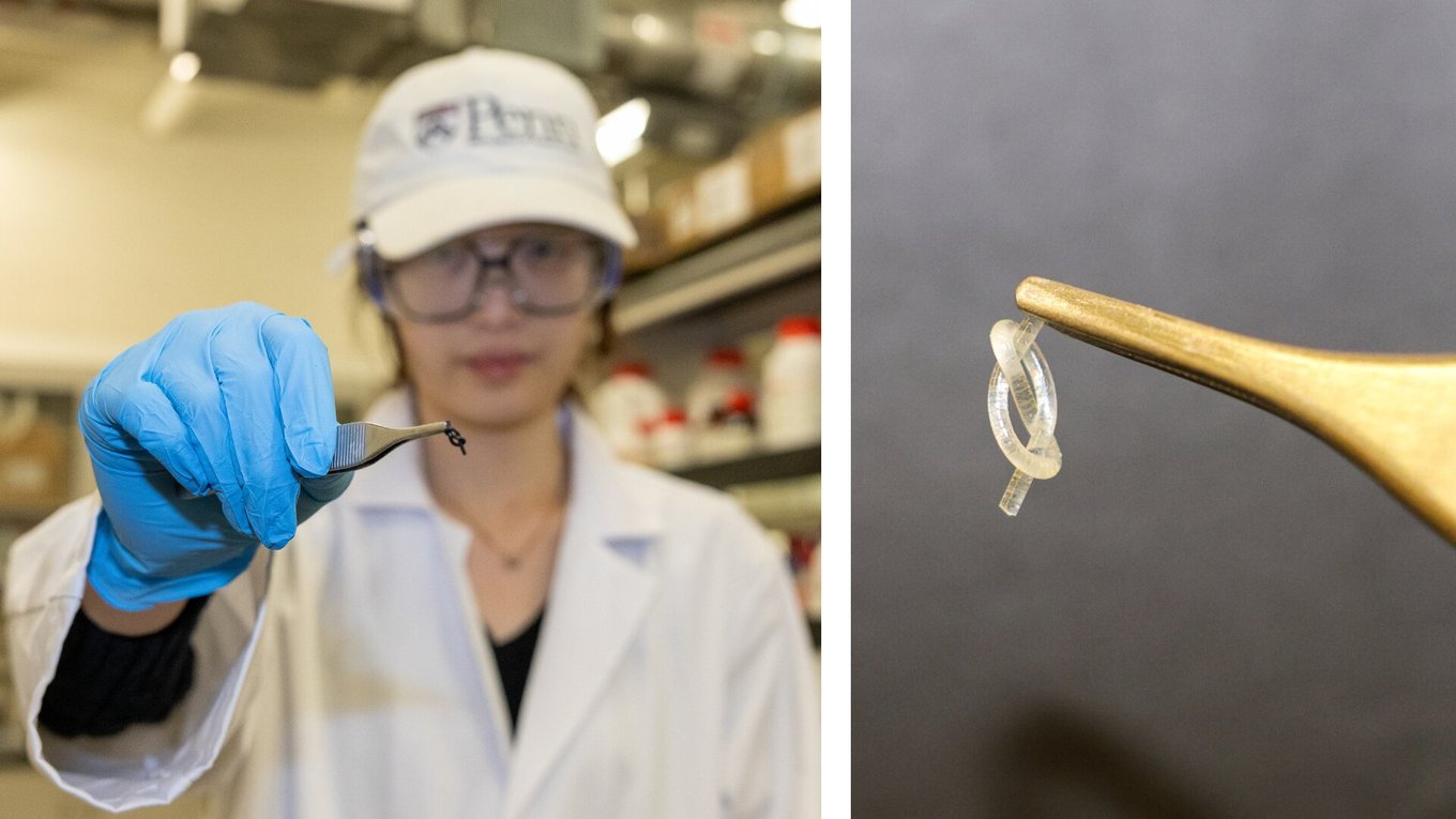 роботы, семена, робототехника, посев, технологии