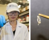 роботы, семена, робототехника, посев, технологии