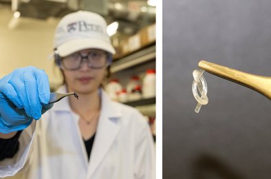 роботы, семена, робототехника, посев, технологии