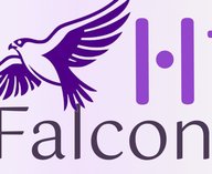 ОАЭ, ИИ, арабский, Falcon, нейросеть