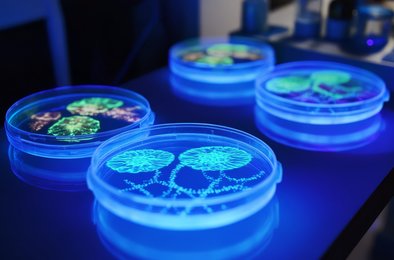 наночастицы, клетки, фотосинтез, медицина, исследования