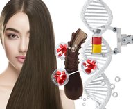 ученые, клетки, волосы, лечение, облысение